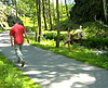 clip Linda se prom&egrave;ne totalement nue dans des lieux publics !