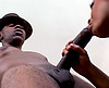 clip Jeune tigresse aime la sodomie !