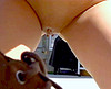 porno video Elle assouvit son r&ecirc;ve de se faire prendre par le roi du cunnilingus sexe gratuit