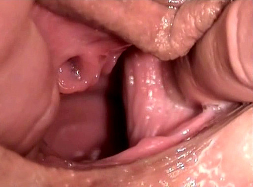 videos